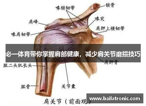 必一体育带你掌握肩部健康，减少肩关节磨损技巧