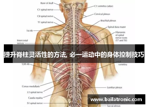 提升脊柱灵活性的方法, 必一运动中的身体控制技巧